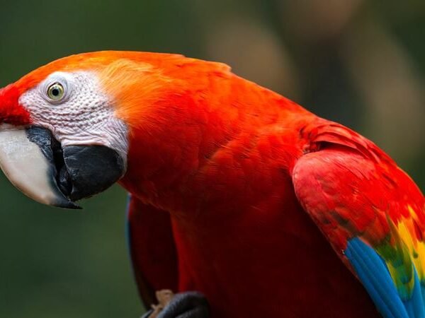 Ecuador Unlimited