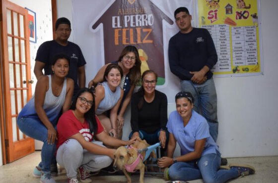 Albergue “EL PERRO FELIZ”