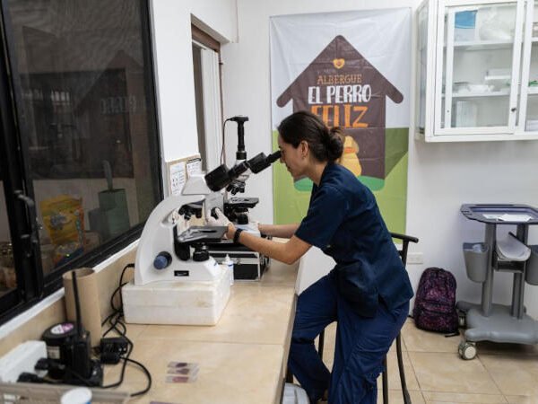 Albergue “EL PERRO FELIZ"