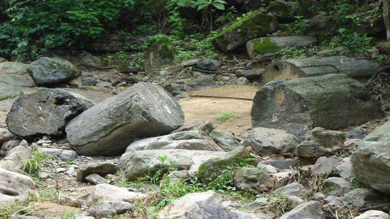 Puyango Petrified Forest