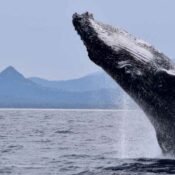 Machalilla National Park